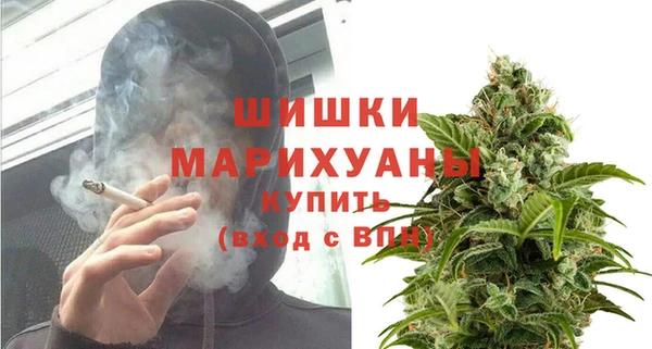 ГАЛЛЮЦИНОГЕННЫЕ ГРИБЫ Устюжна