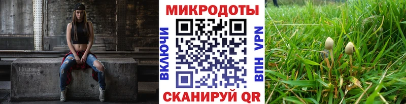 как найти закладки  Новороссийск  Галлюциногенные грибы GOLDEN TEACHER 