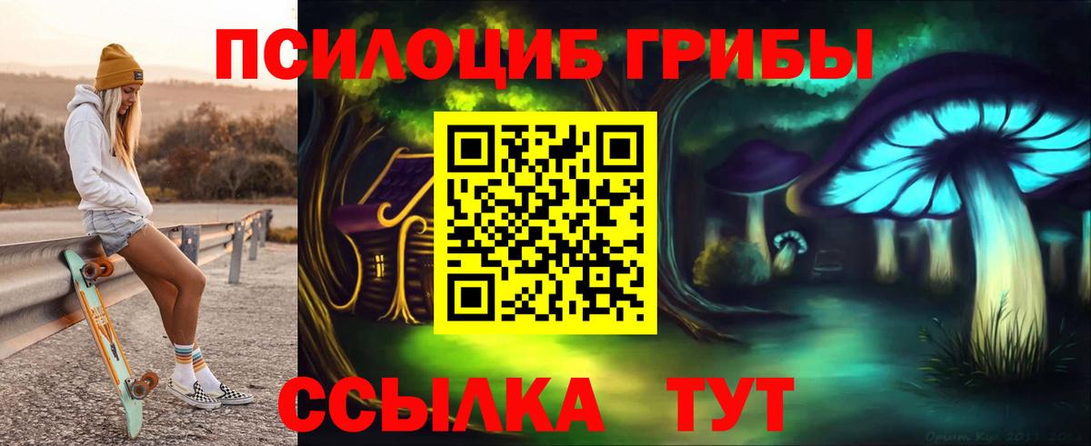Псилоцибиновые грибы Cubensis Новороссийск